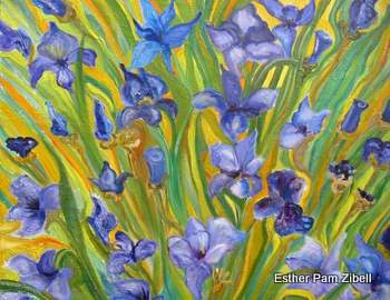Patch of irises