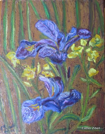 Wild Water-Irises